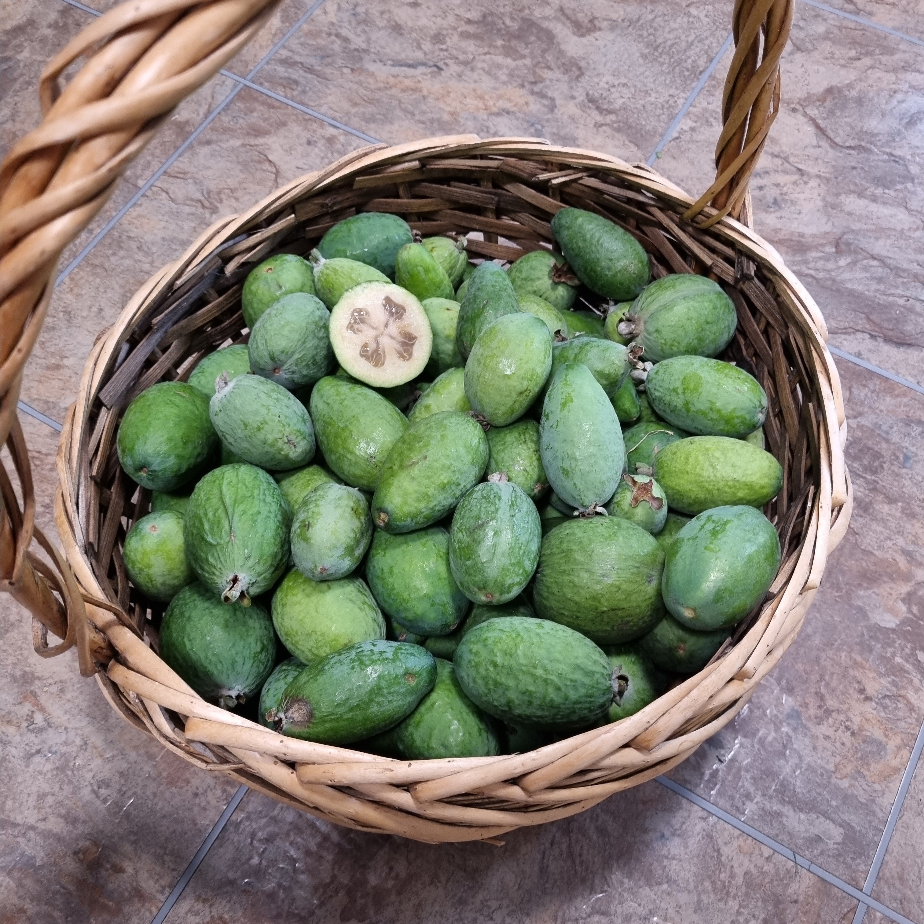 Feijoa Tea