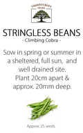 Thornycroft Folde stringless beans seed packet with green beans and planting instructions.