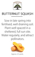 Seeds - Butternut Squash